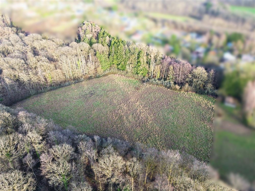 ENSEMBLE DE TERRAINS À BÂTIR 1,24 HECTARE - EXPOSITION OUEST