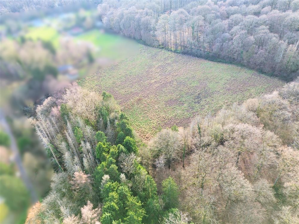 ENSEMBLE DE TERRAINS À BÂTIR 1,24 HECTARE - EXPOSITION OUEST