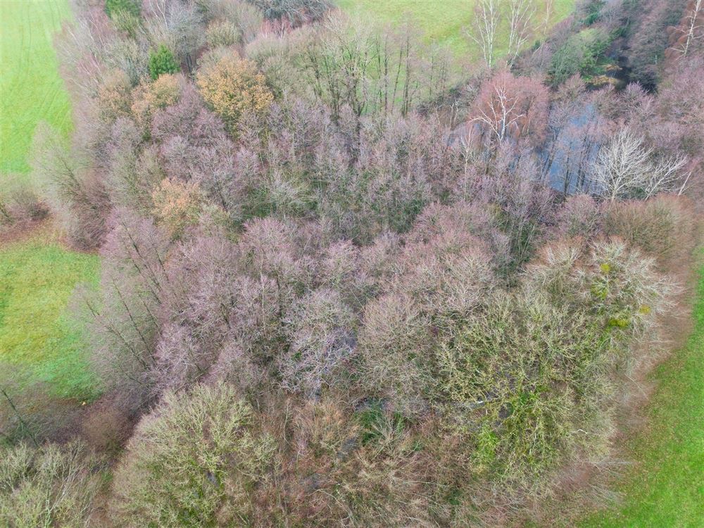 TERRES AGRICOLES + PETIT BOIS AVEC PERMIS POUR ÉTANG