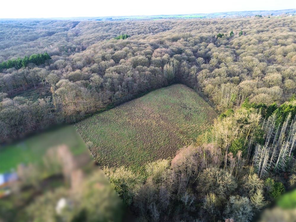 ENSEMBLE DE TERRAINS À BÂTIR 1,24 HECTARE - EXPOSITION OUEST