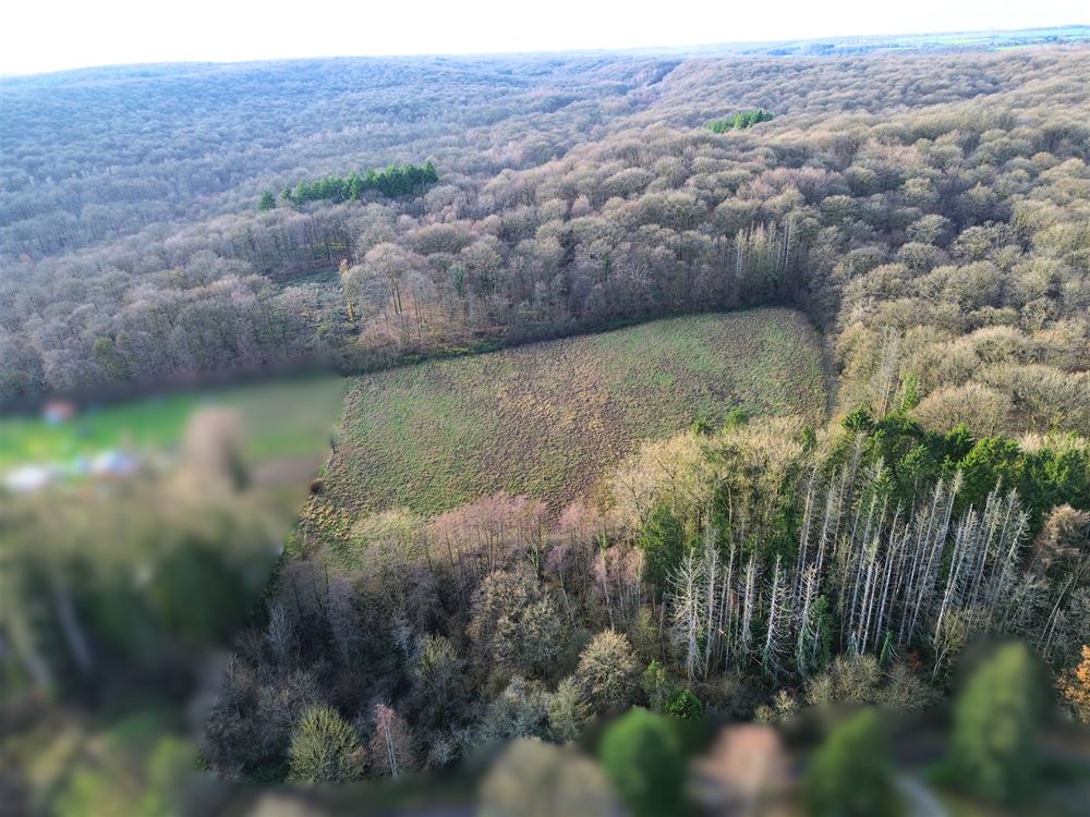 ENSEMBLE DE TERRAINS À BÂTIR 1,24 HECTARE - EXPOSITION OUEST