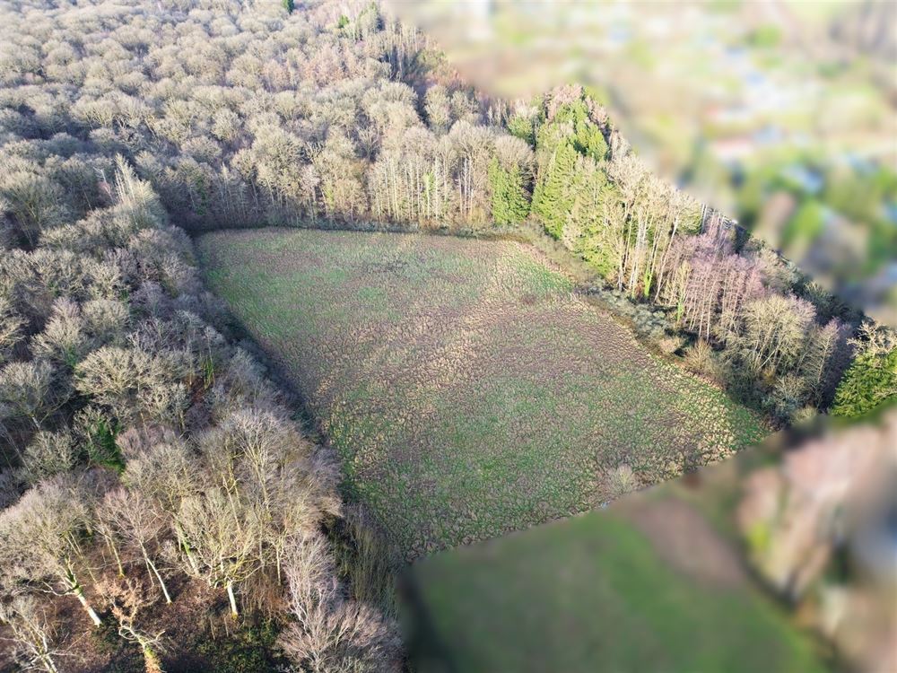 ENSEMBLE DE TERRAINS À BÂTIR 1,24 HECTARE - EXPOSITION OUEST