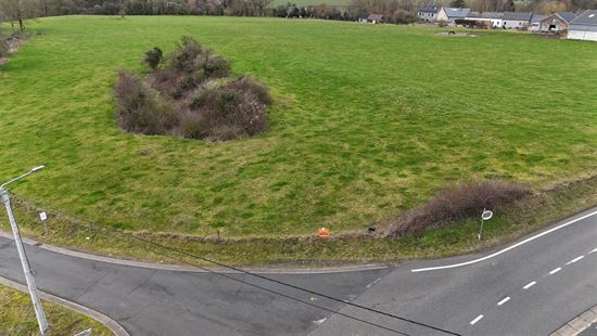 TERRAIN A BATIR DE +- 10 ARES, BIESME