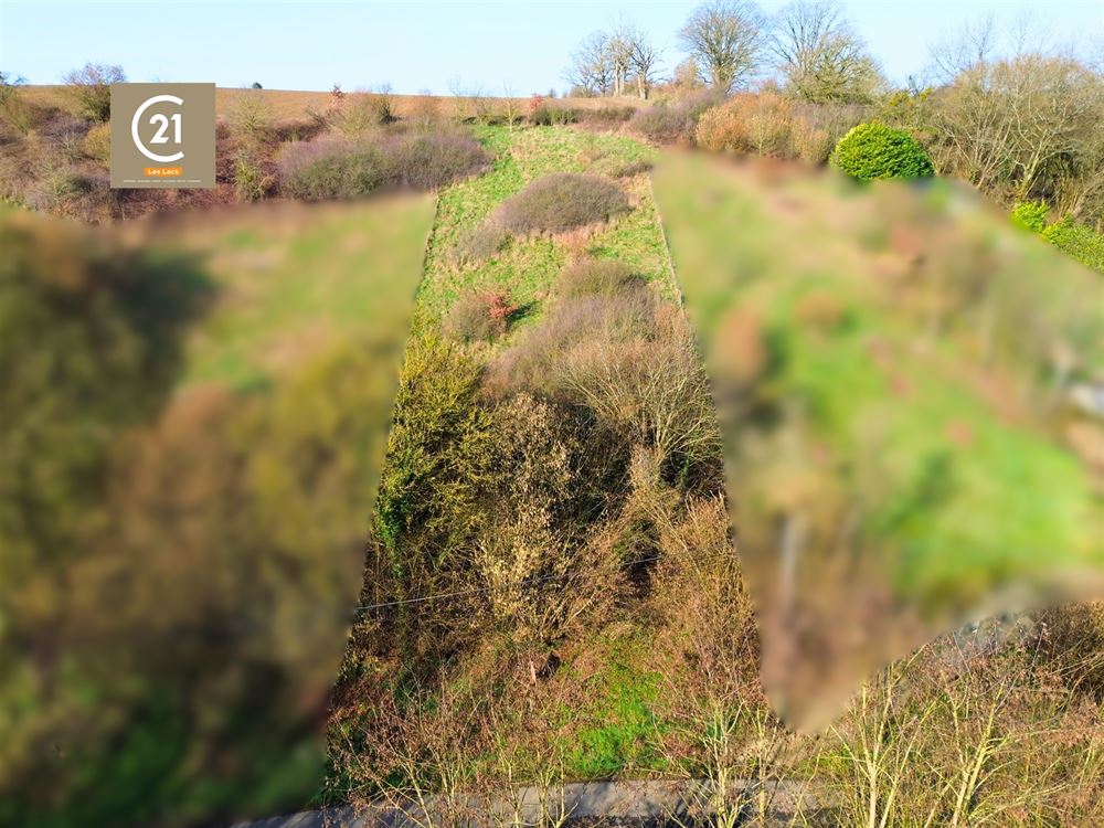 SUPERBE TERRAIN À BÂTIR DE 10,29 ARES - PLEIN OUEST