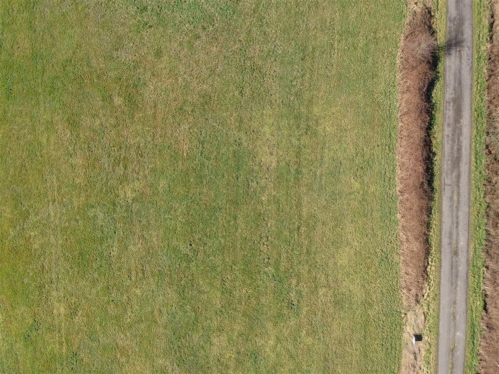 Terrain à bâtir
