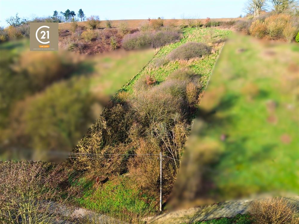 SUPERBE TERRAIN À BÂTIR DE 10,29 ARES - PLEIN OUEST