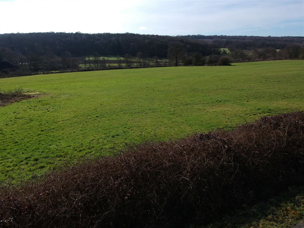 Terrain à bâtir