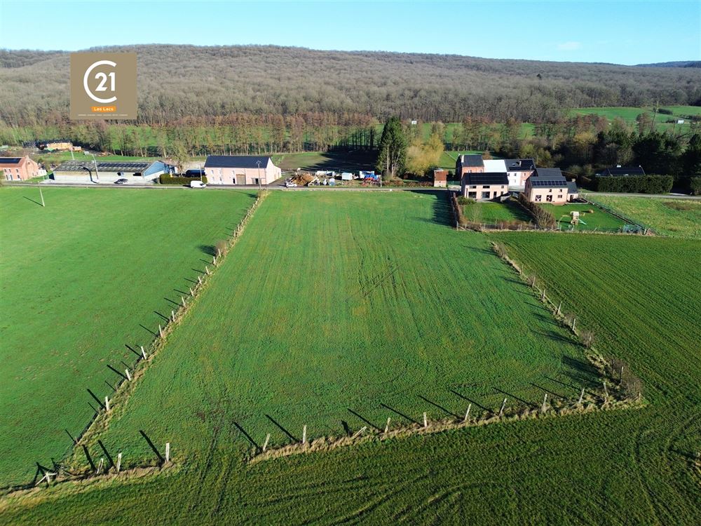 SUPERBE TERRAIN À BÂTIR AVEC PÂTURE - PLEIN SUD