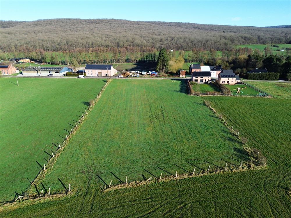 SUPERBE TERRAIN À BÂTIR AVEC PÂTURE - PLEIN SUD