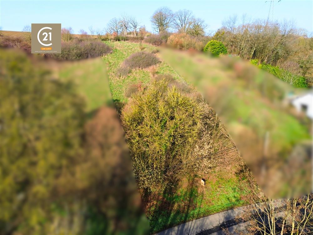 SUPERBE TERRAIN À BÂTIR DE 10,29 ARES - PLEIN OUEST