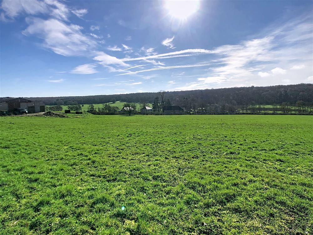 Terrain à bâtir