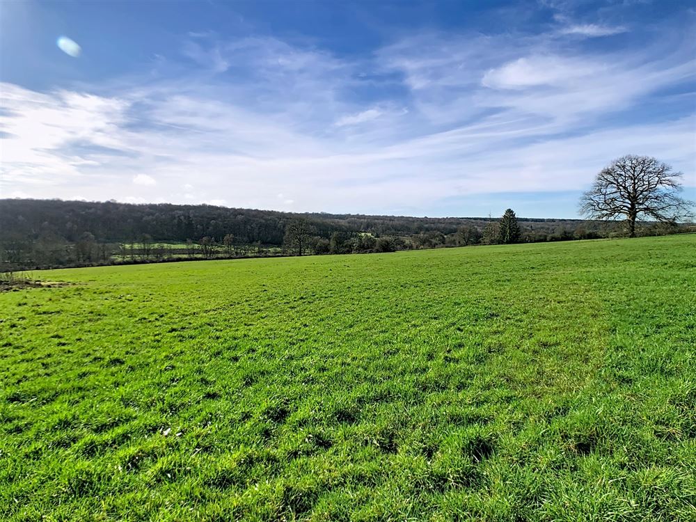 Terrain à bâtir