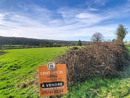 Terrain à bâtir