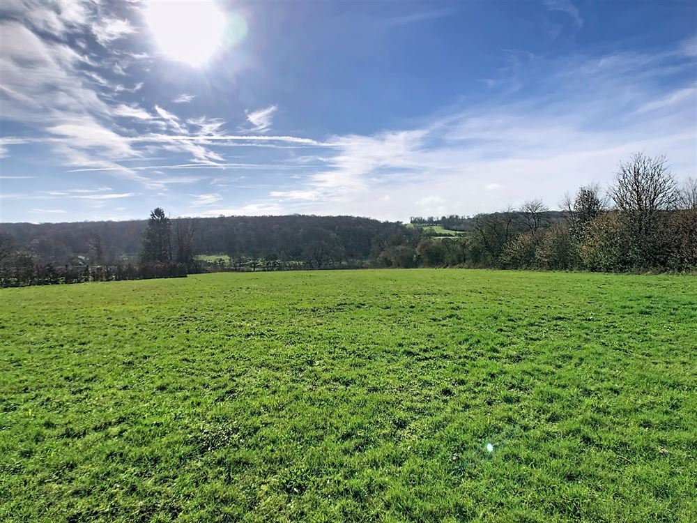 Terrain à bâtir