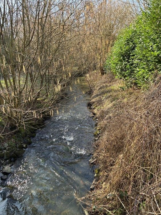 4 PARCELLES (75ARES45CA) DE PRE, PATURE ET TERRE VAINE ET VAGUE