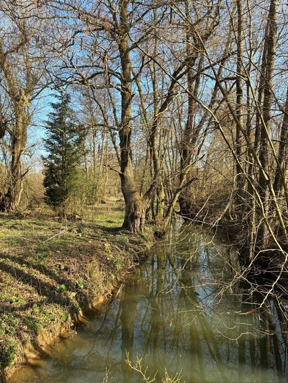 4 PARCELLES (75ARES45CA) DE PRE, PATURE ET TERRE VAINE ET VAGUE
