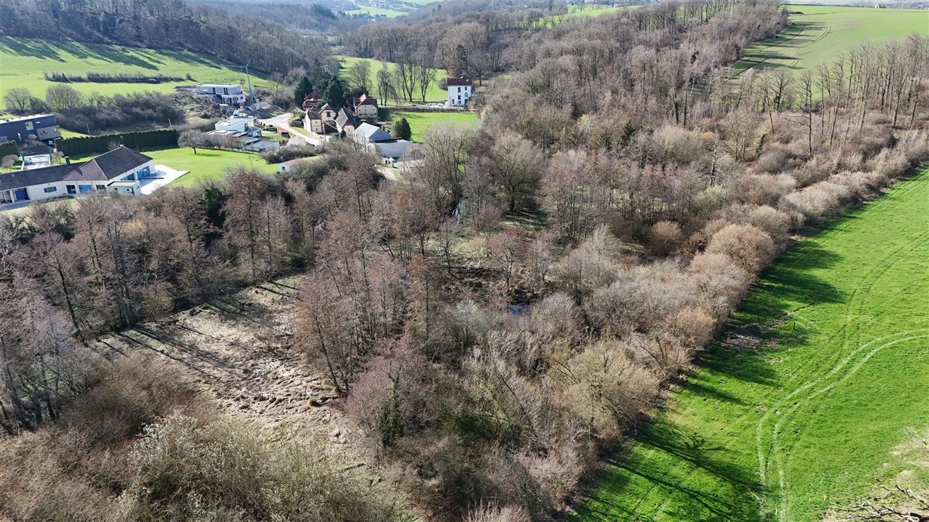 4 PARCELLES (75ARES45CA) DE PRE, PATURE ET TERRE VAINE ET VAGUE