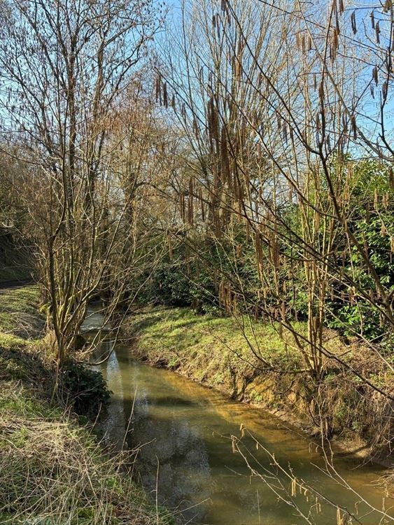 4 PARCELLES (75ARES45CA) DE PRE, PATURE ET TERRE VAINE ET VAGUE