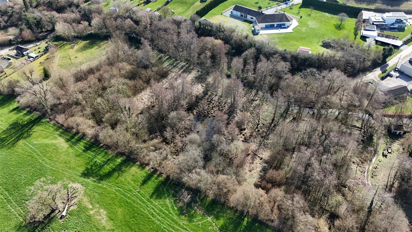 4 PARCELLES (75ARES45CA) DE PRE, PATURE ET TERRE VAINE ET VAGUE