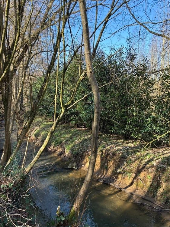 4 PARCELLES (75ARES45CA) DE PRE, PATURE ET TERRE VAINE ET VAGUE