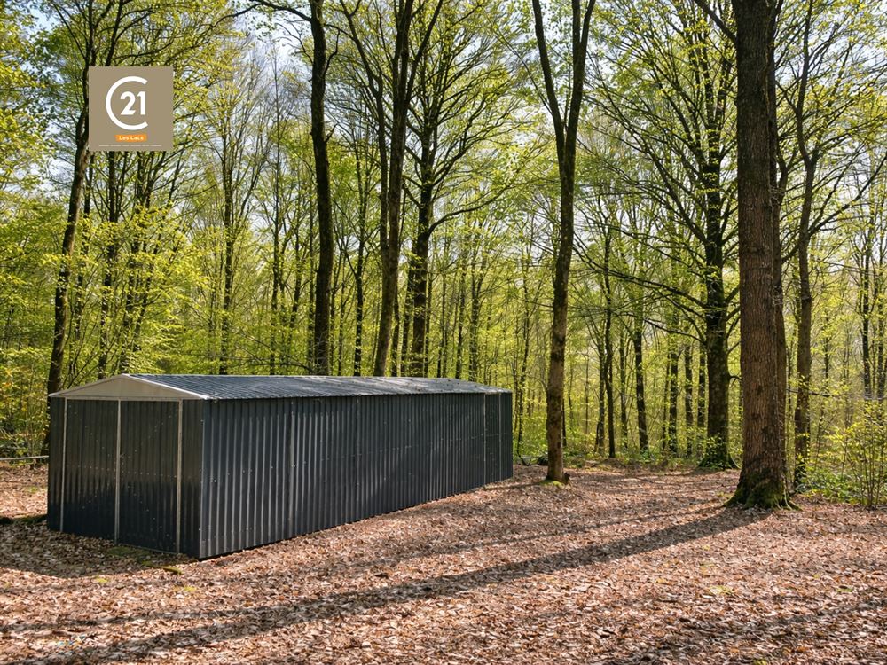 PETIT COIN DE PARADIS EN PLEINE NATURE