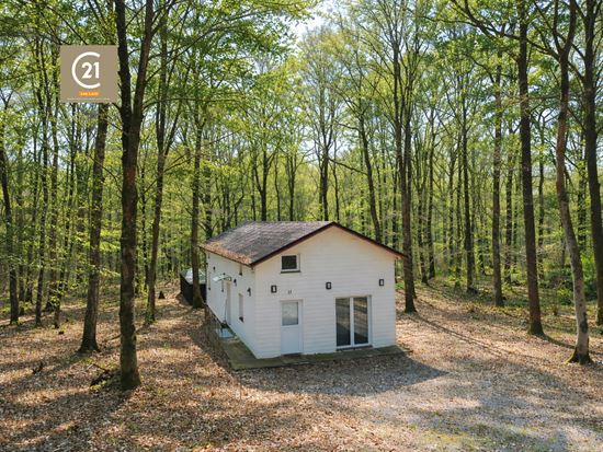 PETIT COIN DE PARADIS EN PLEINE NATURE