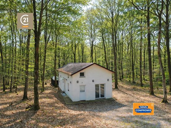 PETIT COIN DE PARADIS EN PLEINE NATURE