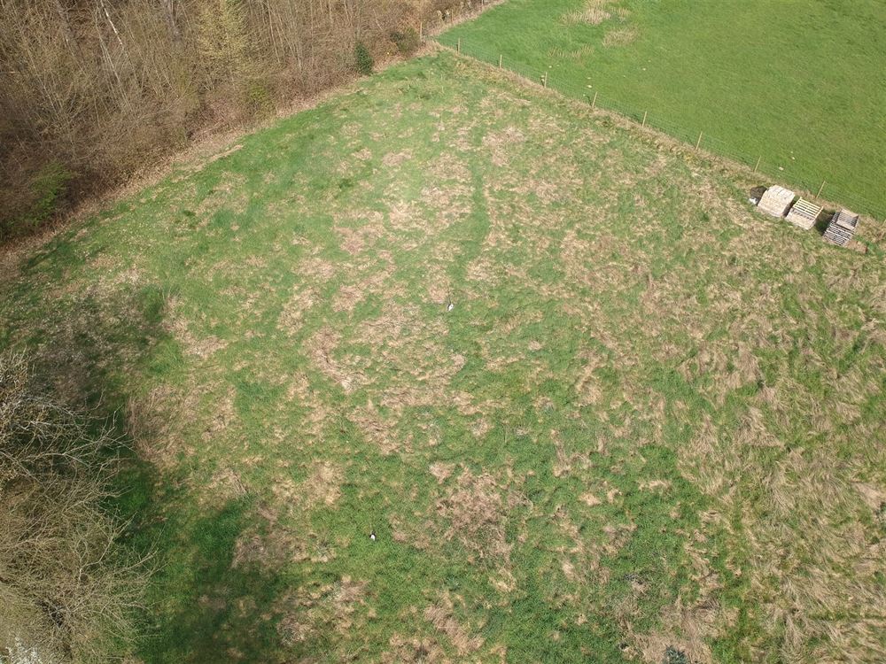 Villa passive – Plain-pied – Gros œuvre fermé – 32 ares
