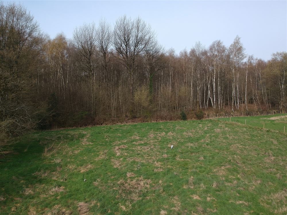 Villa passive – Plain-pied – Gros œuvre fermé – 32 ares