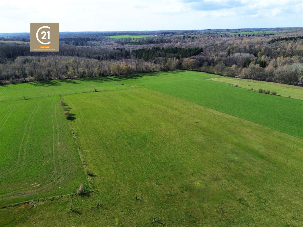 SUBLIME VILLA D'ARCHITECTE SUR 2,7 HECTARES - 4 CHAMBRES