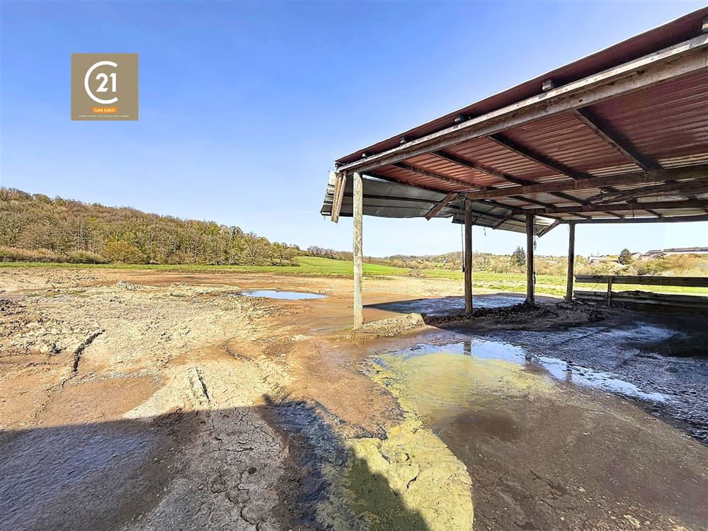 SUPERBE FERME À RÉNOVER SUR 15,5 HECTARES