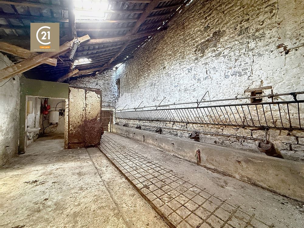 SUPERBE FERME À RÉNOVER SUR 15,5 HECTARES