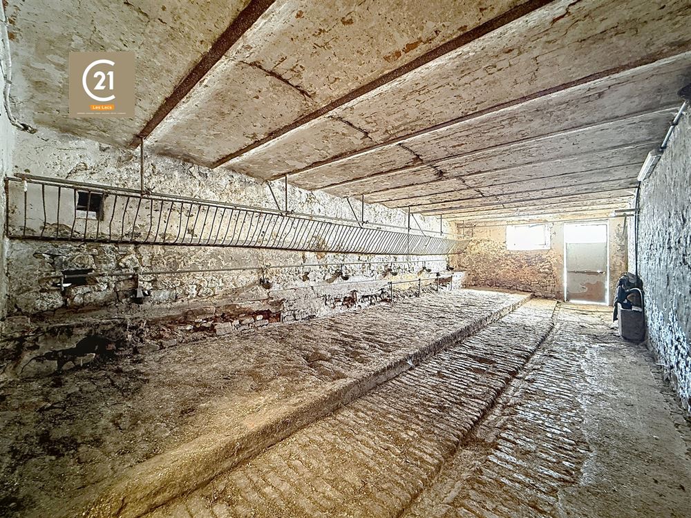 SUPERBE FERME À RÉNOVER SUR 15,5 HECTARES