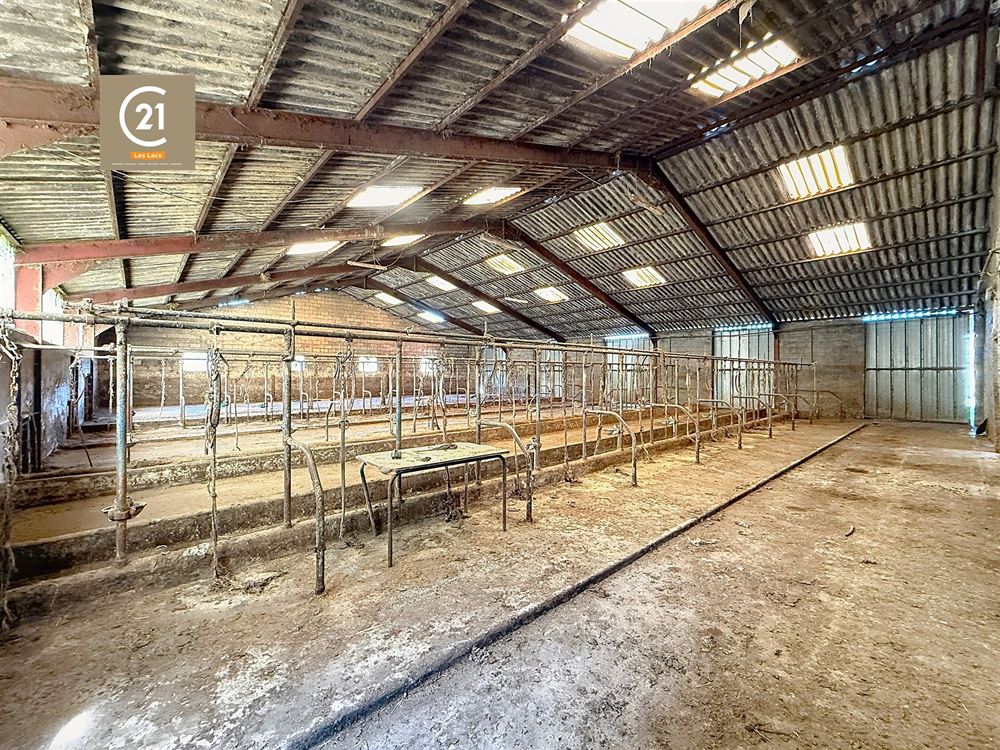 SUPERBE FERME À RÉNOVER SUR 15,5 HECTARES