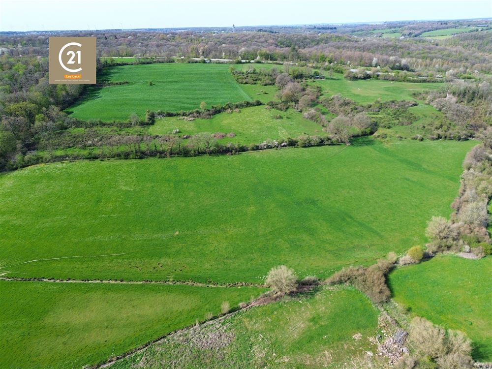 SUPERBE FERME À RÉNOVER SUR 15,5 HECTARES