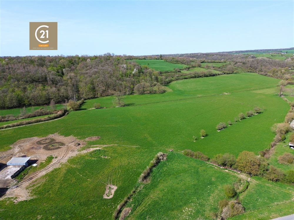 SUPERBE FERME À RÉNOVER SUR 15,5 HECTARES