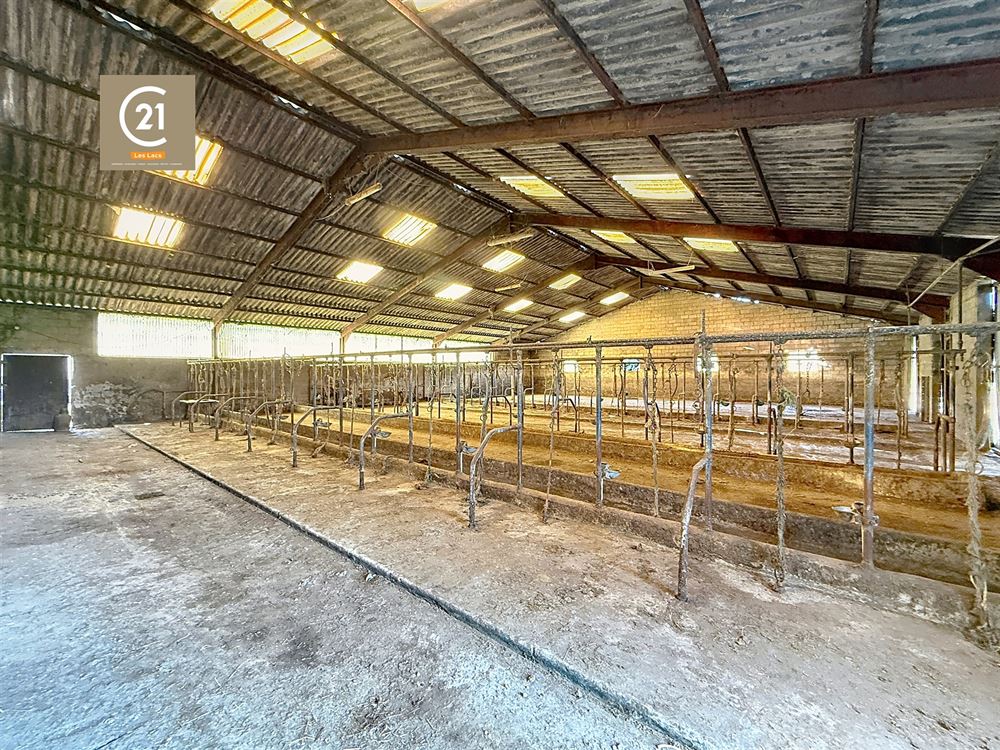 SUPERBE FERME À RÉNOVER SUR 15,5 HECTARES