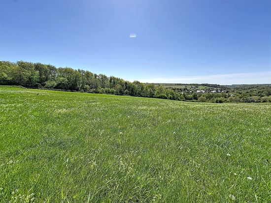 Terrain à bâtir