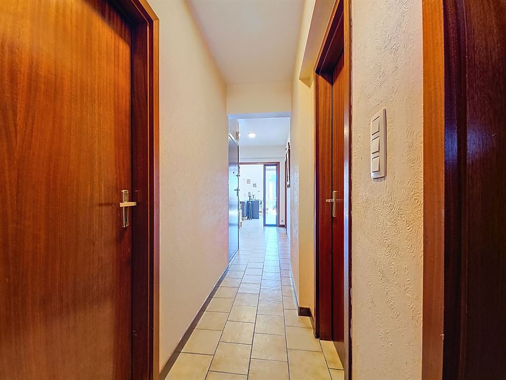 BEL APPARTEMENT - 3 CH - TERRASSE - BALCON
