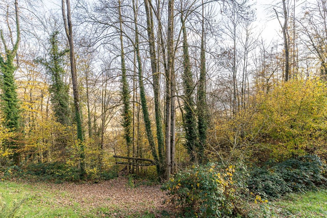MAISON - 2 CHAMBRES - JARDIN