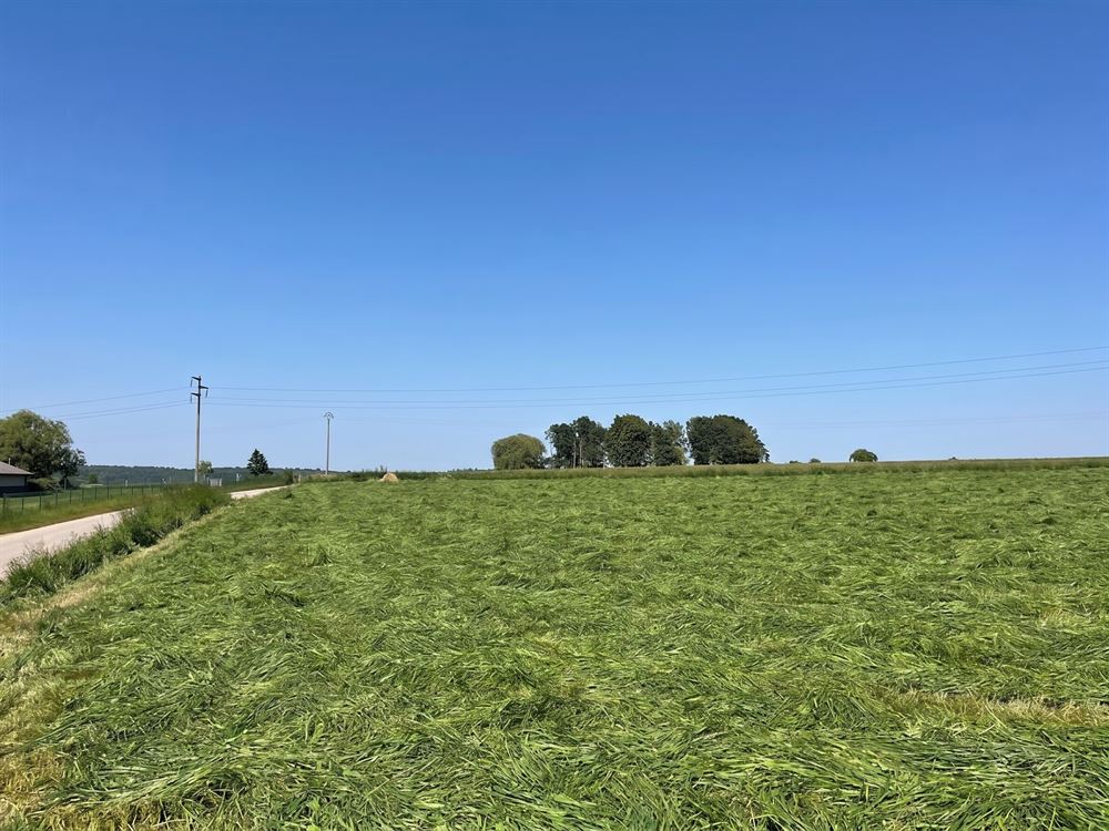 MAGNIFIQUE TERRAIN DE 36 ARES DANS UNE RUE TRES CALME