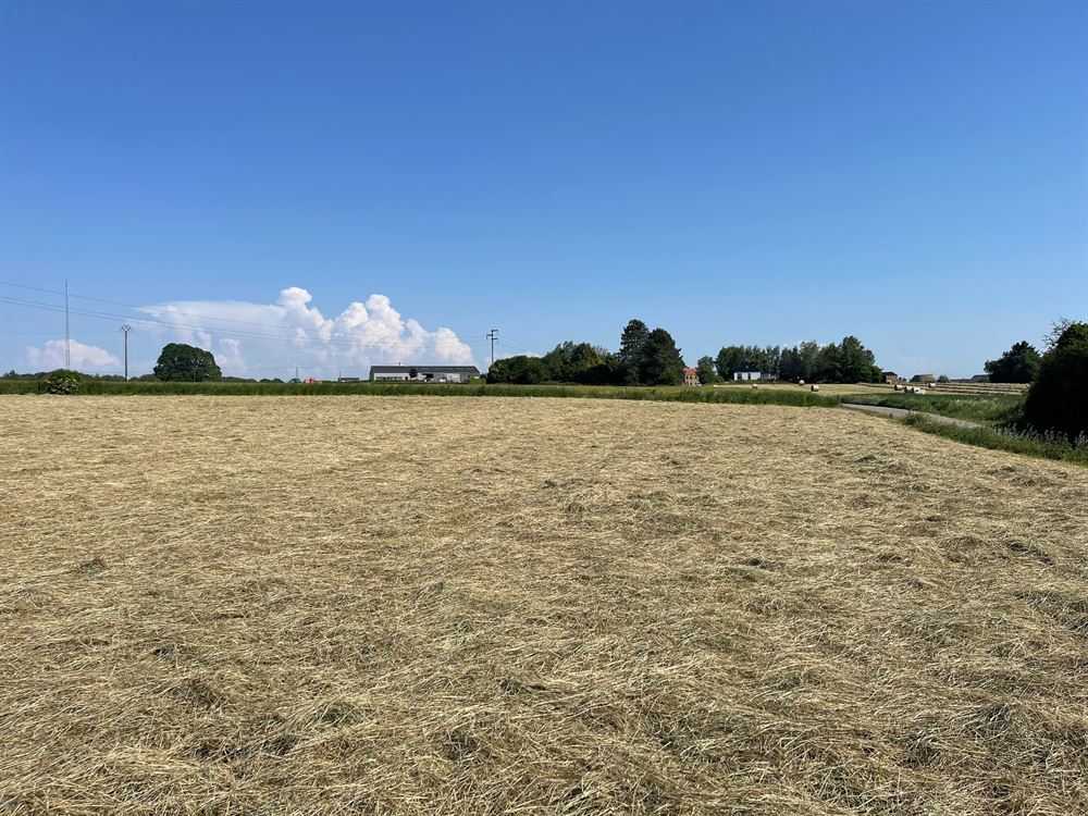 TERRAIN A BATIR AVEC VUE DEGAGEE ET ENVIRONNEMENT VERDOYANT