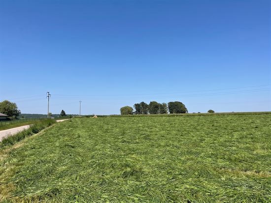 MAGNIFIQUE TERRAIN DE 36 ARES DANS UNE RUE TRES CALME