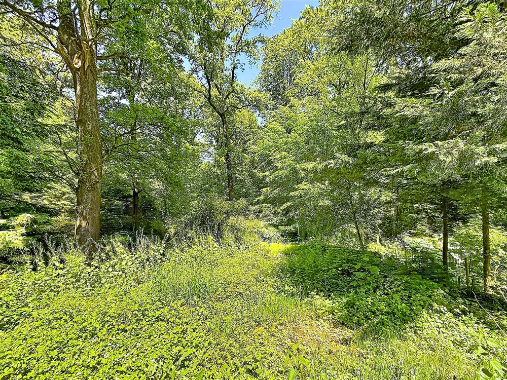 SUPERBE CHALET RÉNOVÉ AU CŒUR D’UN ÉCRIN DE VERDURE