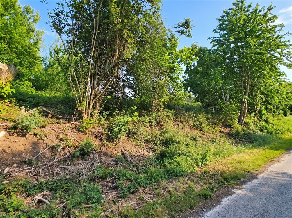 TERRAIN A BATIR DE 1983M²