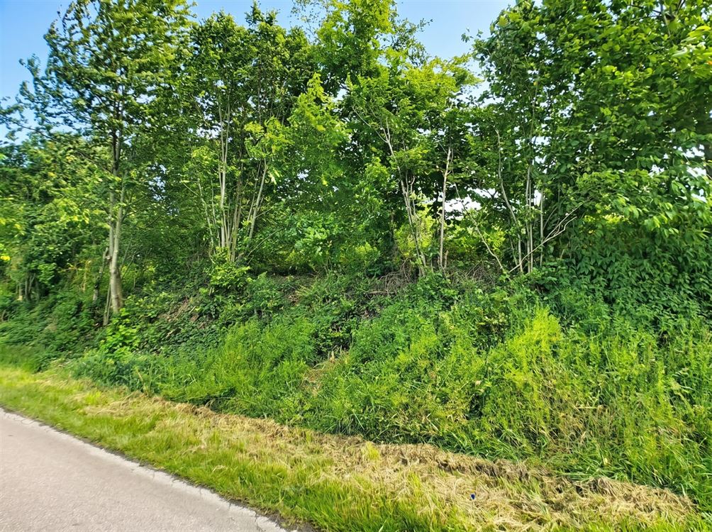 TERRAIN A BATIR DE 1983M²