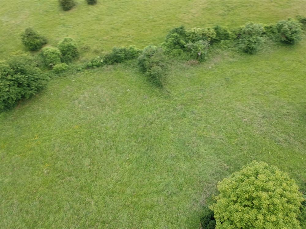 TERRAIN A BATIR AVEC PATURE