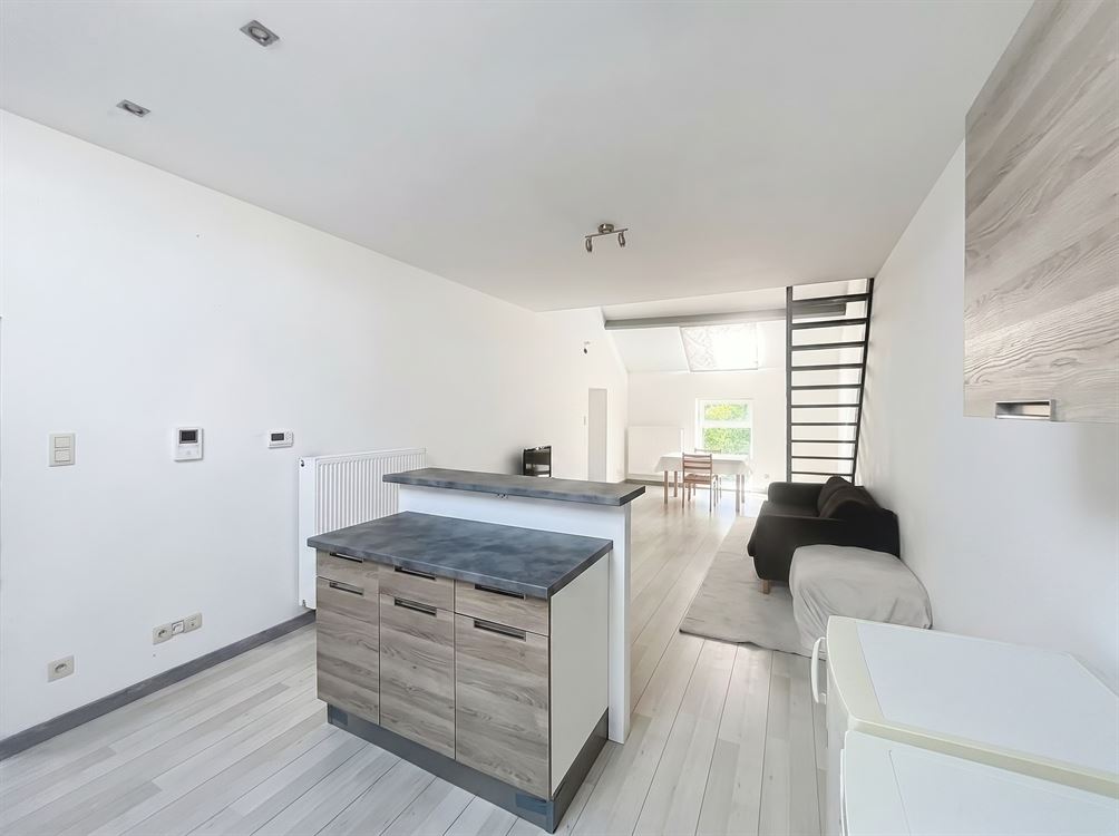 APPARTEMENT LUMINEUX