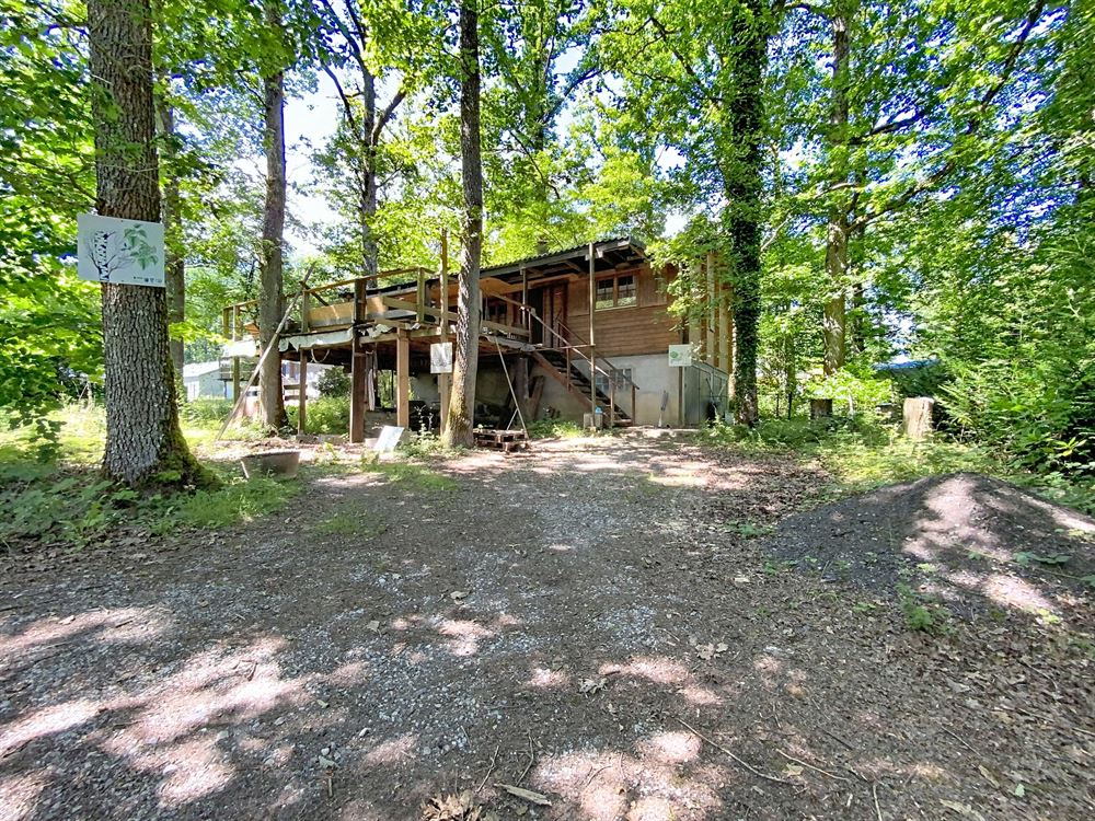 Chalet authentique niché dans un écrin de verdure