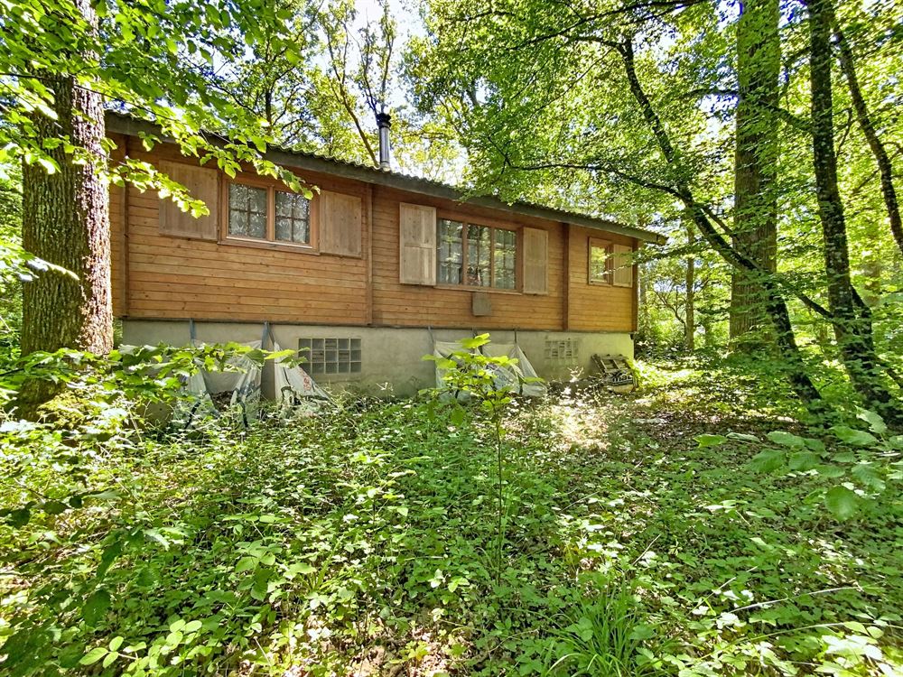 Chalet authentique niché dans un écrin de verdure